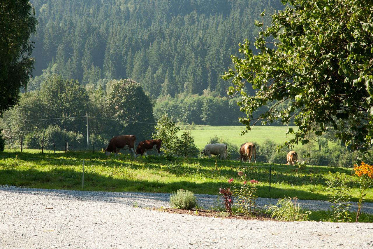 Landhotel Bayerwald Grafling エクステリア 写真